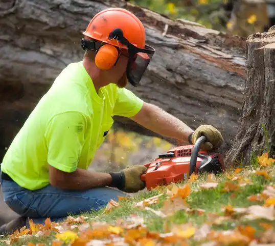 tree services Lake Royale